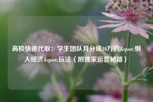 高校快递代取：学生团队月分成10万的"懒人经济"玩法（附独家运营秘籍）​
