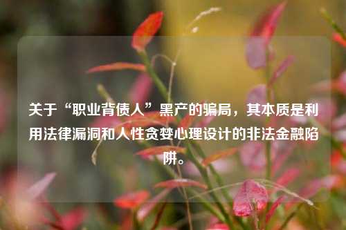 关于“职业背债人”黑产的骗局，其本质是利用法律漏洞和人性贪婪心理设计的非法金融陷阱。
