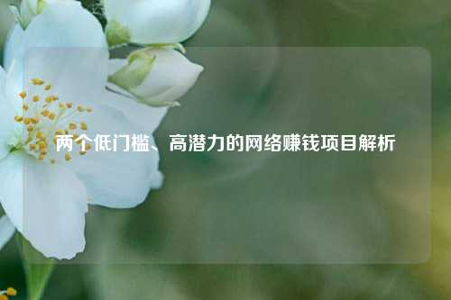 两个低门槛、高潜力的网络赚钱项目解析